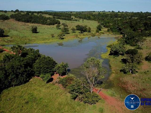 #1174 - Fazenda para Venda em Porangatu - GO