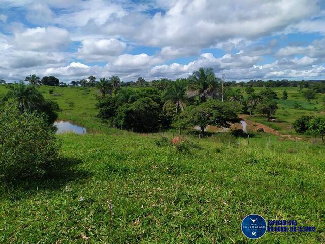 Venda em zona rural - Piranhas