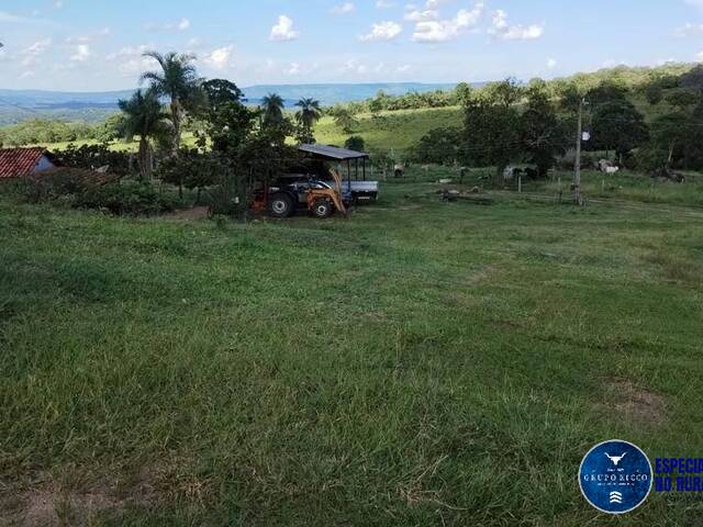 #1150 - Fazenda para Venda em Arenópolis - GO