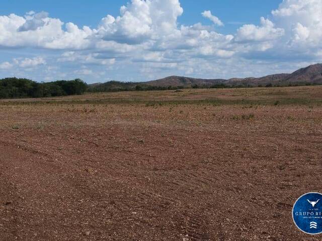 #3073 - Fazenda para Venda em Barra do Garças - MT