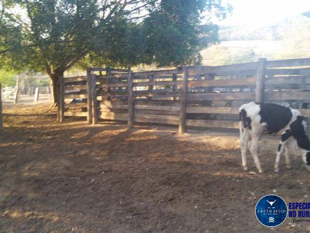 #3082 - Chácara para Venda em Santa Cruz de Goiás - GO