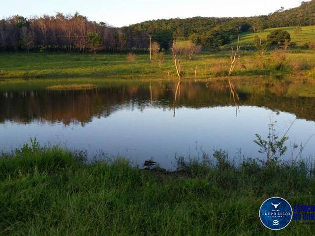 Venda em zona rural - Santa Cruz de Goiás