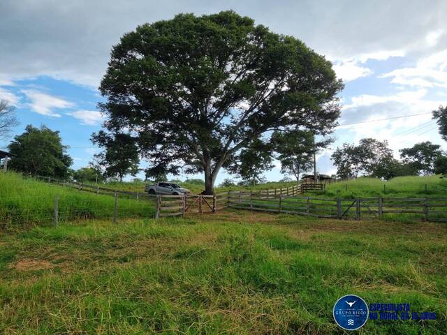 #3092 - Fazenda para Venda em Varjão - GO