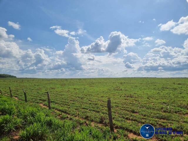 #3096 - Fazenda para Venda em Santa Maria do Tocantins - TO