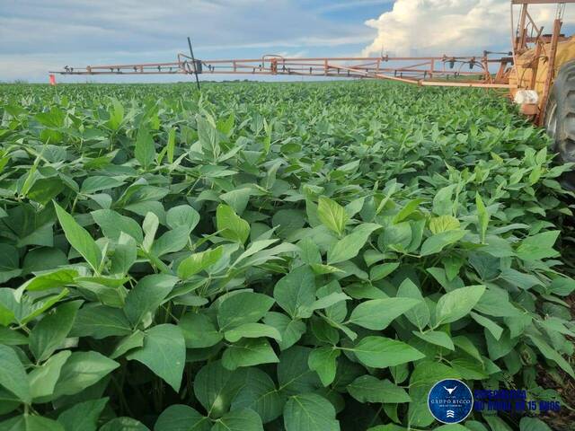 #3096 - Fazenda para Venda em Santa Maria do Tocantins - TO