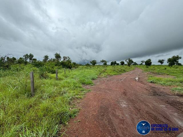 #3107 - Fazenda para Venda em Aparecida do Rio Negro - TO