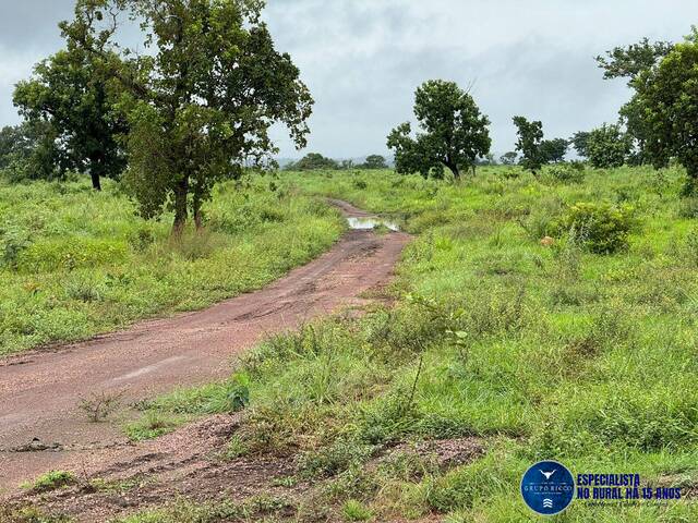 #3107 - Fazenda para Venda em Aparecida do Rio Negro - TO