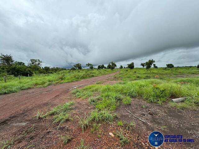 #3107 - Fazenda para Venda em Aparecida do Rio Negro - TO