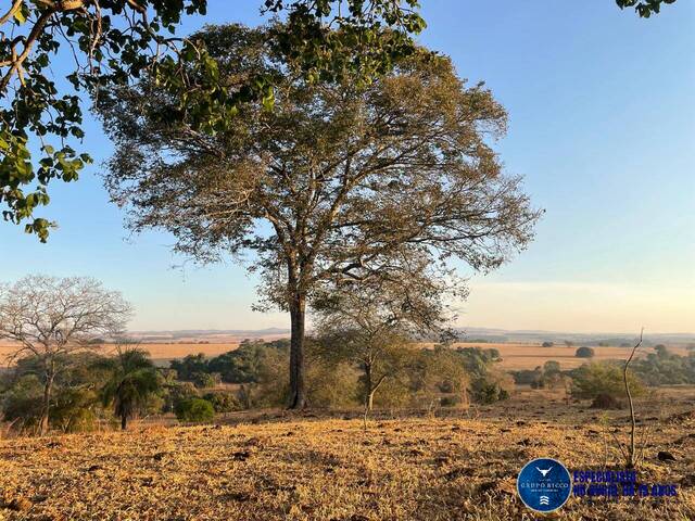 #3118 - Fazenda para Venda em Itaberaí - GO