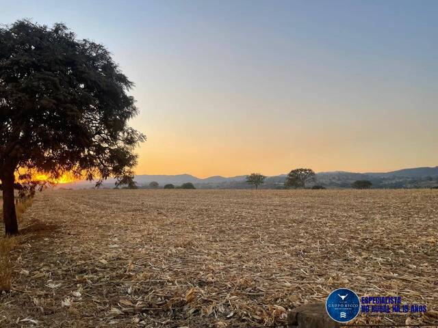 #3118 - Fazenda para Venda em Itaberaí - GO