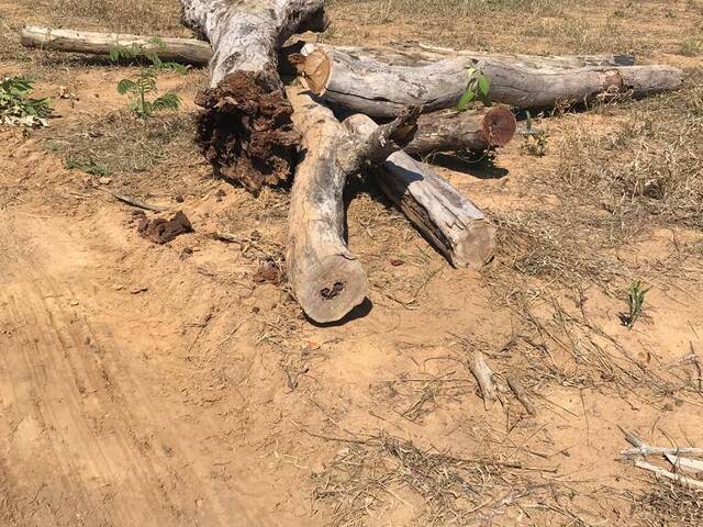 #3120 - Fazenda para Venda em Mairipotaba - GO