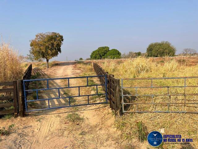 #3121 - Fazenda para Venda em Matrinchã - GO