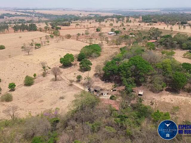 #3129 - Chácara para Venda em Bela Vista de Goiás - GO