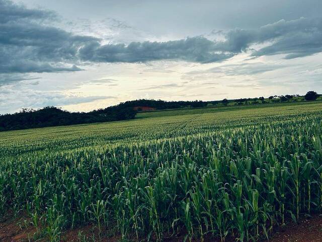 #3130 - Fazenda para Venda em Araguaína - TO