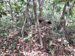 #1738 - Fazenda para Venda em Cocalzinho de Goiás - GO