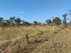 #1833 - Fazenda para Venda em Luziânia - GO