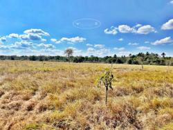 #1888 - Fazenda para Venda em Porangatu - GO