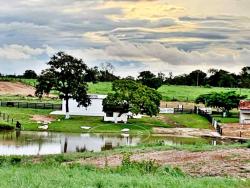 #1905 - Fazenda para Venda em Uruaçu - GO