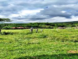 Venda em zona rural - Ivolândia