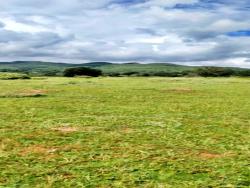 #1915 - Fazenda para Venda em Ivolândia - GO