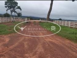 #2077 - Fazenda para Venda em Bom Jardim de Goiás - GO