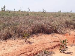 #2080 - Fazenda para Venda em General Carneiro - MT