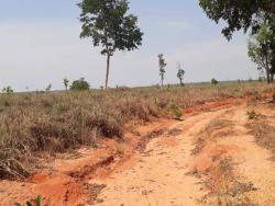 Venda em zona rural - General Carneiro