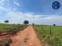 #2146 - Fazenda para Venda em Montes Claros de Goiás - GO