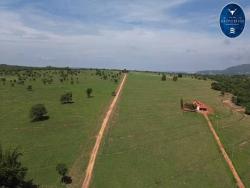 #2146 - Fazenda para Venda em Montes Claros de Goiás - GO