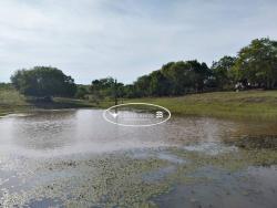 Venda em zona rural - Faina