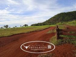 #2176 - Fazenda para Venda em Montes Claros de Goiás - GO