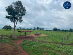 #2226 - Fazenda para Venda em Jaraguá - GO