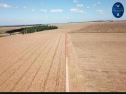 Venda em Zona Rural - Confresa