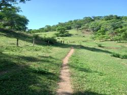 Venda em zona rural - Taquaral de Goiás