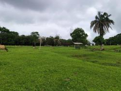 Venda em zona rural - Anicuns