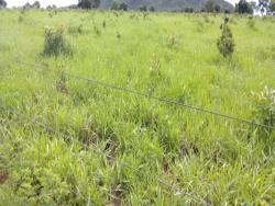 #2307 - Fazenda para Venda em Montes Claros de Goiás - GO