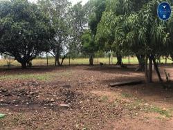 #2359 - Fazenda para Venda em Nova Xavantina - MT