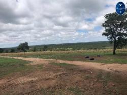 #2359 - Fazenda para Venda em Nova Xavantina - MT