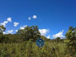 #2519 - Fazenda para Venda em Niquelândia - GO