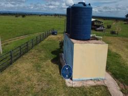 #2532 - Fazenda para Venda em Rondonópolis - MT