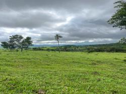 #2553 - Chácara para Venda em São Luís de Montes Belos - GO