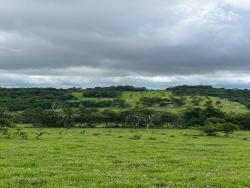 Venda em zona rural - São Luís de Montes Belos