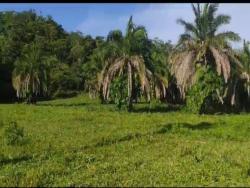 Venda em zona rural - Iporá