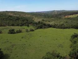 #2575 - Fazenda para Venda em Aragoiânia - GO