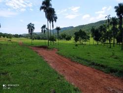 #2589 - Fazenda para Venda em Bom Jardim de Goiás - GO