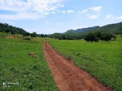 Venda em zona rural - Bom Jardim de Goiás