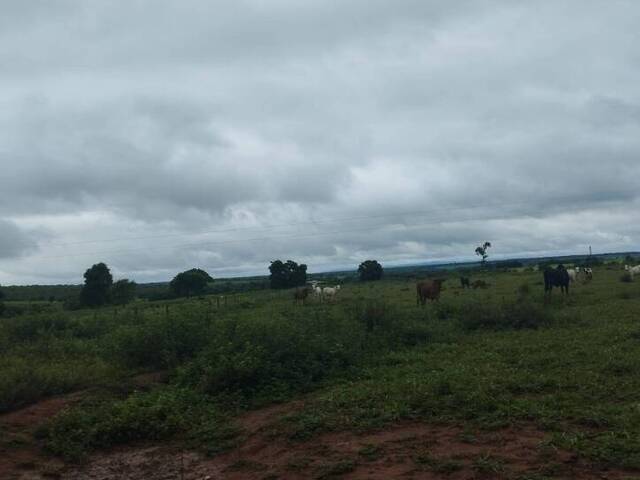 #2614 - Fazenda para Venda em Bom Jardim de Goiás - GO