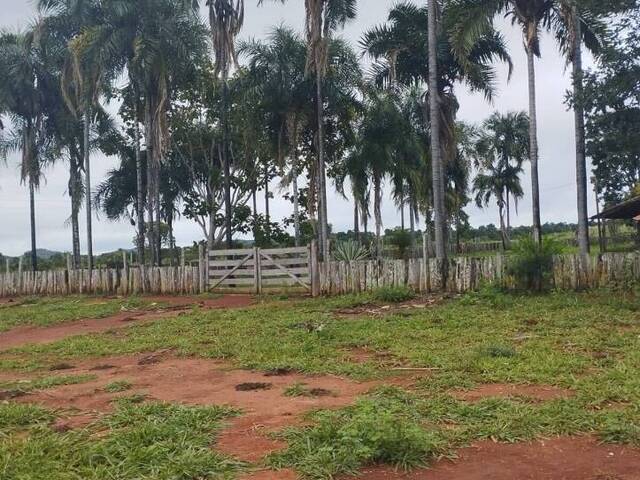 #2614 - Fazenda para Venda em Bom Jardim de Goiás - GO