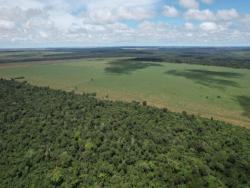 #2617 - Fazenda para Venda em Paranatinga - MT