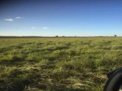 Venda em zona rural - Paranatinga